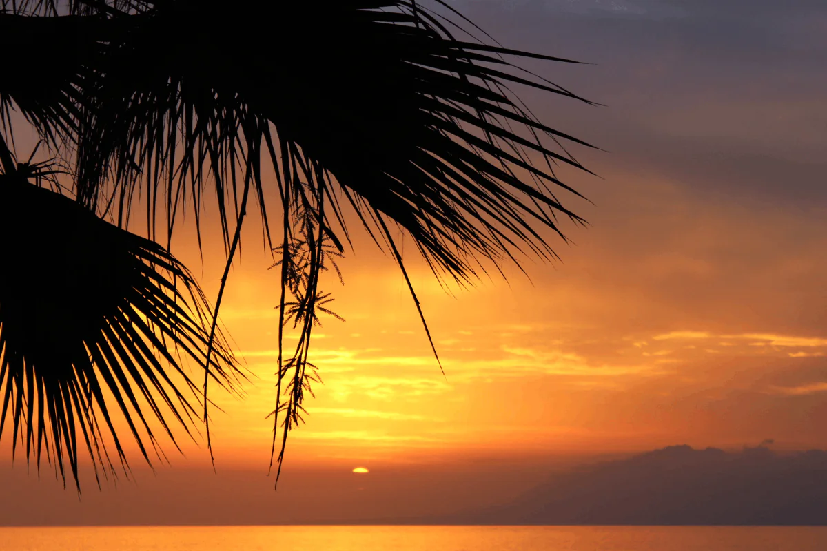 MUDARSE A LA COSTA DEL SOL DESDE EL EXTRANJERO. LA GUÍA LOGÍSTICA QUE NADIE TE DA