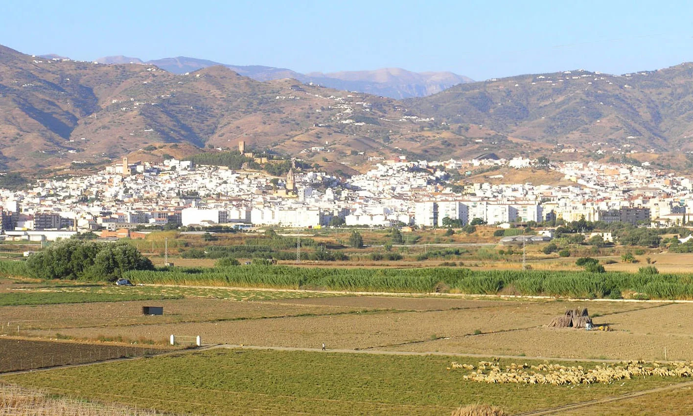 OPERARIOS DE MUDANZAS LA SEDA CON MINI GRÚA EN UNA CALLE EMPINADA DEL CASCO HISTÓRICO DE VÉLEZ-MÁLAGA